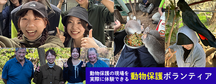 動物保護ボランティア
